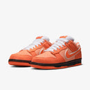 Concepts x SB Dunk Low Orange Lobster–Elegante